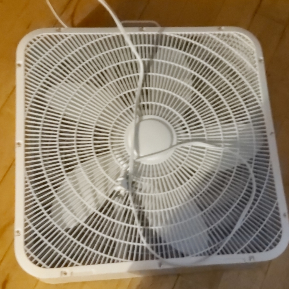 A fan